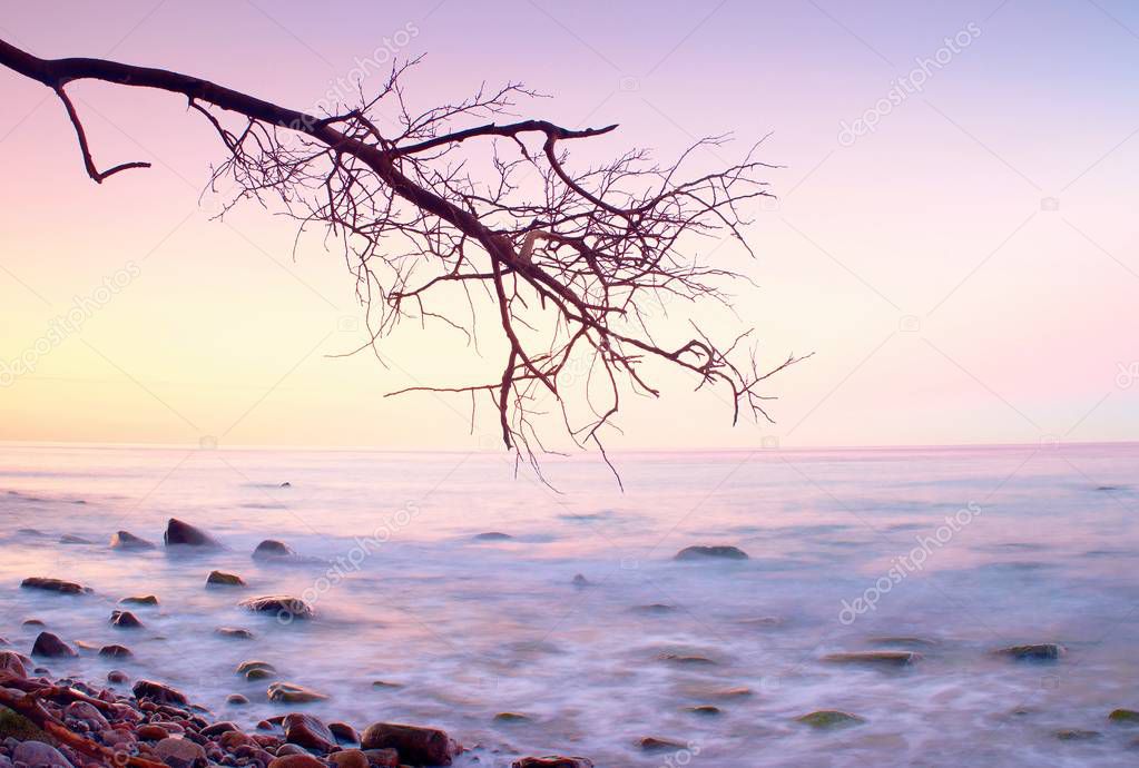 Romantic atmosphere, colorful sunset at sea. Stony beach with bended