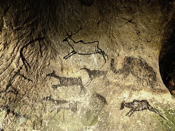 Pintura de caza humana de ciervos, mamuts y renos. Arte abstracto de carbono negro histórico —  Fotos de Stock