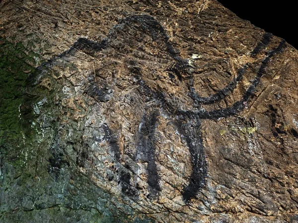 Discovery of human history. Prehistoric art of mammoth in sandstone cave — Stock Photo, Image