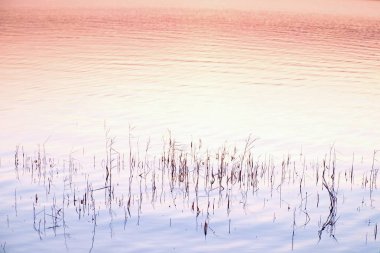 Güzel sonbahar gündoğumu veya günbatımı yansıması ile göl su seviyesi üzerinde. Yumuşak dalgalar.
