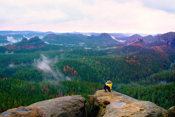 Вид сзади на высокого туриста в жёлтой черной куртке на скалистой вершине, наслаждаясь рассветом над долиной гор — стоковое фото