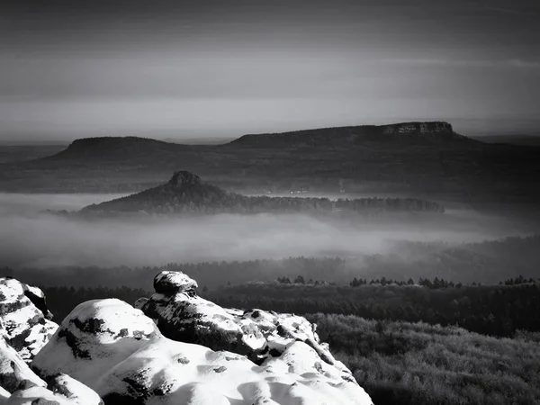 秋天的晨雾。砂岩悬崖树梢森林山谷，黎明 — 图库照片