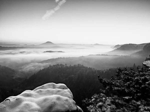 Fall morning mist. The sandstone cliff above treetops of forest valley, daybreak — Stock Photo, Image