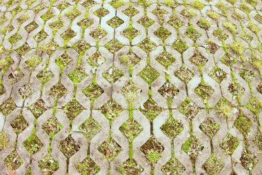 arka plan olarak bir yeşil çim ile taş kaldırım.