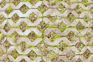 arka plan olarak bir yeşil çim ile taş kaldırım.