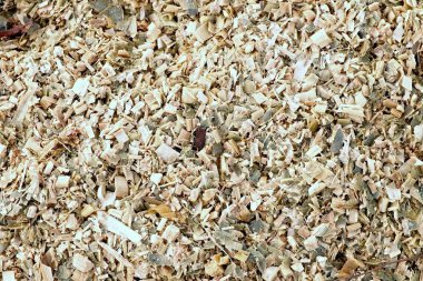 Mısır Mısır Silaj hayvan yemi öğütülür. İşlem bombardımanı Mısırdan atık