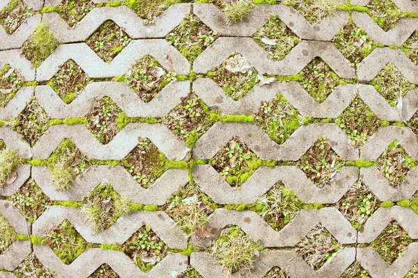 Sten trottoaren med ett grönt gräs som bakgrund. — Stockfoto