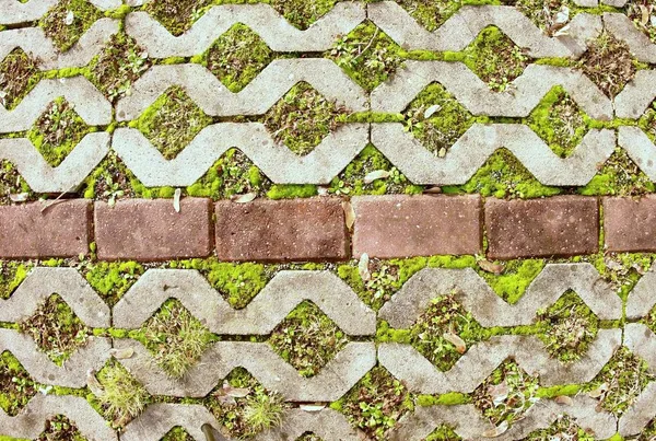 Acera de piedra con una hierba verde como fondo . — Foto de Stock