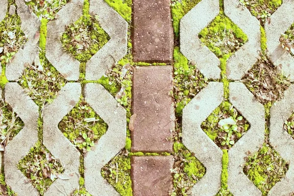 Кам'яний тротуар з зеленою травою як фон . — стокове фото
