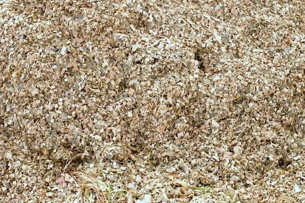 家畜の飼料としてトウモロコシ トウモロコシのサイレージが粉砕されました。トウモロコシを砲撃のプロセスからの廃棄物します。 — ストック写真
