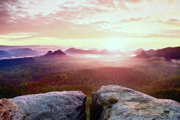 Vista sulla scogliera di arenaria in una profonda valle nebbiosa in Sassonia Svizzera. Picchi di arenaria aumentati da fondo nebbioso pesante . — Foto Stock