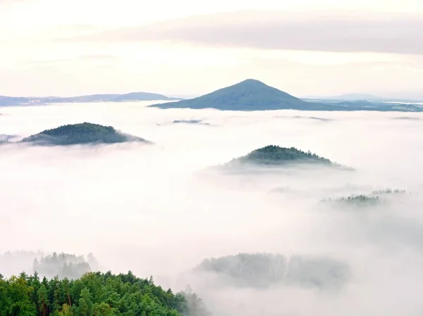 Niebla pesada en el paisaje. Magnífica niebla cremosa de otoño —  Fotos de Stock