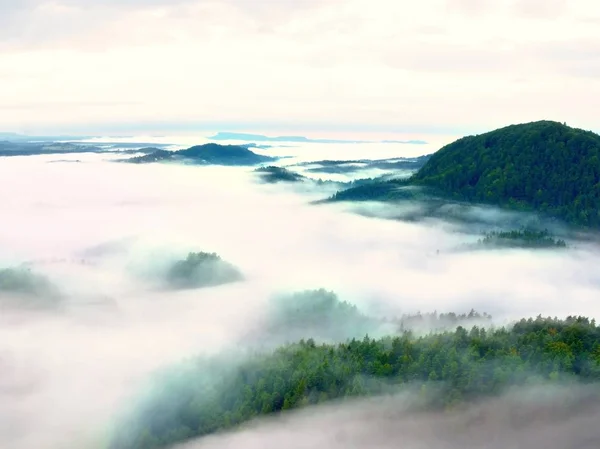Niebla pesada en el paisaje. Magnífica niebla cremosa de otoño —  Fotos de Stock