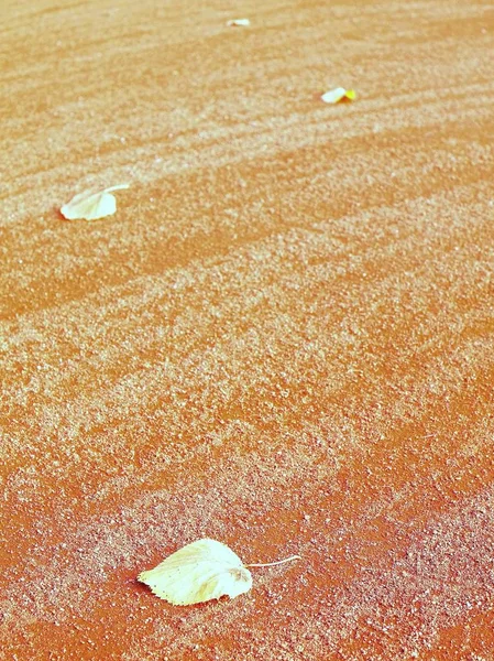 Dry leaf an tennis court. Dry light red crushed bricks surface — Stock Photo, Image