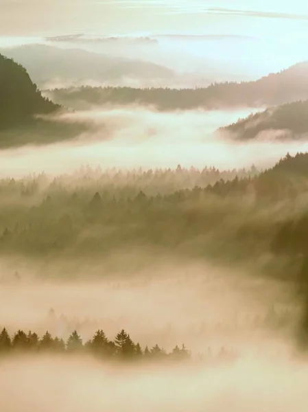 Coucher du jour brumeux coloré. Éveil brumeux dans une belle colline. Les sommets des collines sortent de la crème brumeuse . — Photo