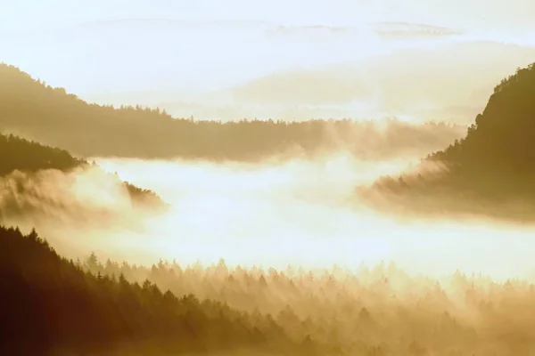 Renkli daybreak. puslu bir güzel tepelerde uyanış. hills doruklarına sisli kökenli yapışkanlık dışarı — Stok fotoğraf