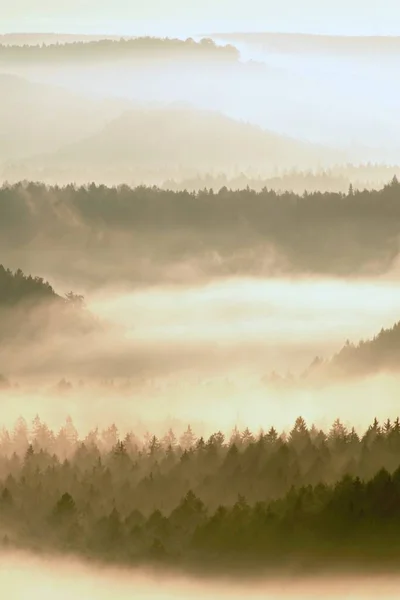 Autumn sunrise. Beautiful mountain of Bohemia. Treetops and peaks of hills increased from yellow and orange fog striped due to strong Sun rays. — Stock Photo, Image