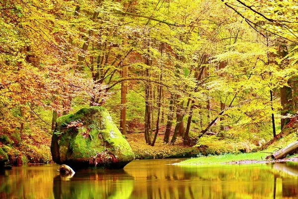 Kleuren van herfst berg rivier. Kleurrijke banken met bladeren, bomen gebogen boven de rivier. Grote boulder in de rivier — Stockfoto