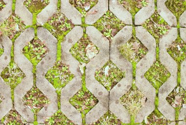 arka plan olarak bir yeşil çim ile taş kaldırım.