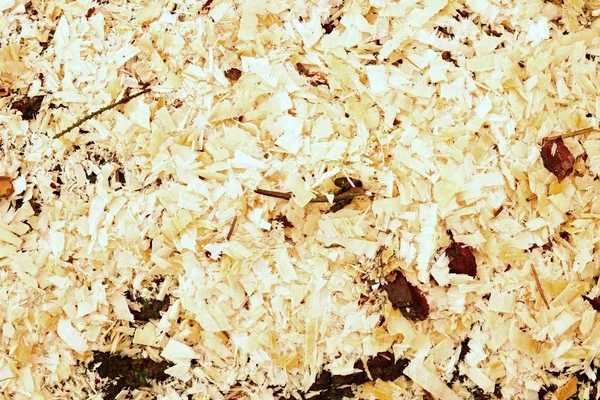 Talaş ile çim zeminde kuru kahverengi kabuğu parçaları ile kuru kızılağaç ahşap. — Stok fotoğraf