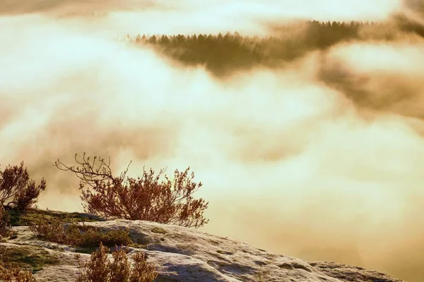 Fantastisk kupert landskap i rosa soloppgang. Vakker dal med steinete fjell-park. Åser med frisk fuktighet . – stockfoto