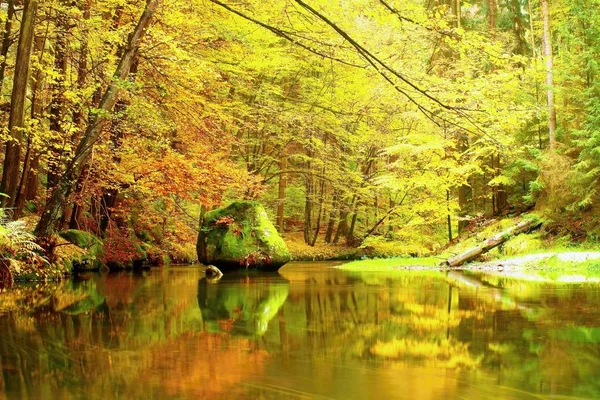 Μεγάλο ογκόλιθοι πεσμένα φύλλα. Φθινόπωρο βουνό όχθες του ποταμού. Φρέσκο πράσινο ποώδη ογκόλιθους και τις όχθες του ποταμού που καλύπτονται με πολύχρωμα φύλλα — Φωτογραφία Αρχείου