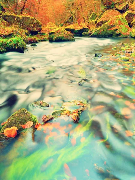 Caer en la naturaleza. Colores de otoño río de montaña. Grava colorida con hojas, árboles doblados —  Fotos de Stock