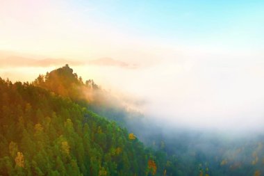 Renkler sonbahar romantik sabah. Ahşap ev veya orman tepe yeşil tepe üzerinde uzun yürüyüşe çıkan kimse için kulübe. Sonbahar sis feryat Vadisi.