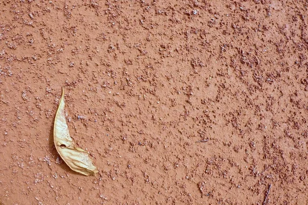 Dry chestnut leaf on tennis court. Dry red crushed surface — Stock Photo, Image