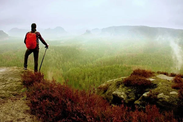 Man hiker with trekking poles  and red backpack  on rock. Old heather bushes grows in rock — Stock Photo, Image