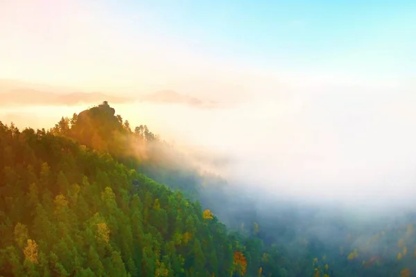 Farben des romantischen Herbstmorgens. Holzhaus oder Hütte für Wanderer auf dem grünen Gipfel des Waldhügels. Herbstnebel im Tal. — Stockfoto