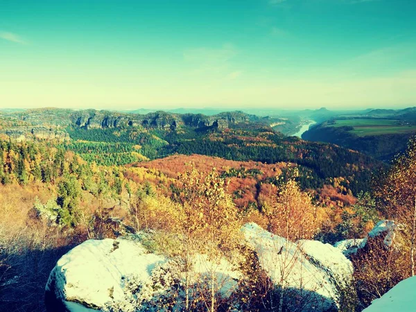 Soğuk altın Bahar şafak. Yerde kar. Ormanlar doruklarına sis arttı