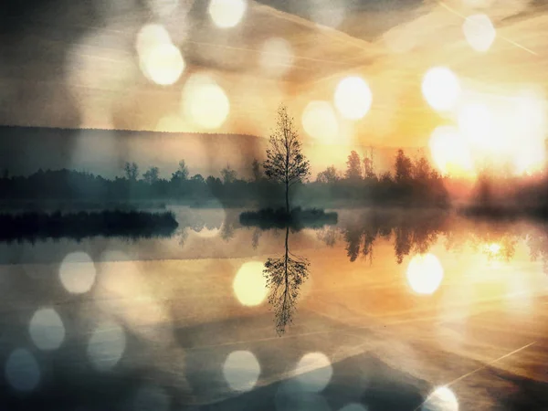 早早晨秋天在梦幻般的氛围，在中间的岛上树山湖. — 图库照片
