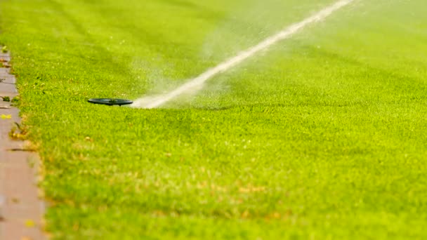 Soccer or football field irrigation system of automatic watering grass. Watering the football playing field, red rubber racetracks in outdoor stadium — Stock Video