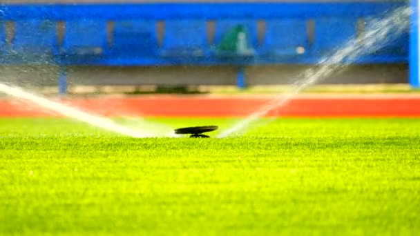 Sistema de riego de campo de fútbol o fútbol de césped de riego automático. Riego del campo de juego de fútbol, pistas de carreras de caucho rojo en el estadio al aire libre — Vídeos de Stock