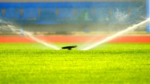 Soccer or football field irrigation system of automatic watering grass. Watering the football playing field, red rubber racetracks in outdoor stadium — Stock Video