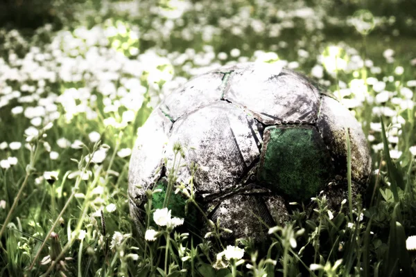 Film grain. Old football ball hidden in the high grass flower and filed