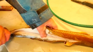 Ortak ling gutting, ling (Molva molva) Balık. . Işleç dorsal kesim çok keskin bıçak ile yapar. Ellerini iç organlar ve fileto ayrılması kemik üzerinden kontrol. Balık karaciğer, bağırsaklar kaldırma kontrol. 