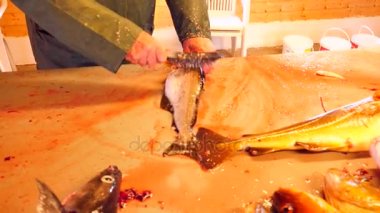 Cod, morina. Hızlı kaldırma-in ölçekler bir dosyalama masada bir tel fırça ile. Güçlü erkek görünümünü Deniz balığı ile çalışma eller. Kaldırılan ölçekler ve masanın üzerinde kan.