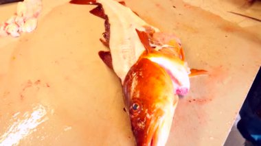 Temizlik ve taze deniz Morina balığı bir aile fabrikasında filleting işçi. Dorsal kesim ve ayırma fileto balık kemikleri, cesaret kaldırma gelen. 