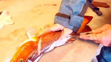 Temizlik ve taze deniz Morina balığı bir aile fabrikasında filleting işçi. Dorsal kesim ve ayırma fileto balık kemikleri, cesaret kaldırma gelen. 