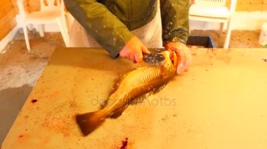 Cod, morina. Hızlı kaldırma-in ölçekler bir dosyalama masada bir tel fırça ile. Güçlü erkek görünümünü Deniz balığı ile çalışma eller. Kaldırılan ölçekler ve masanın üzerinde kan. 