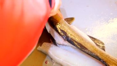 Temizlik ve taze deniz Morina balığı bir aile fabrikasında filleting işçi. Dorsal kesim ve ayırma fileto balık kemikleri, cesaret kaldırma gelen. 