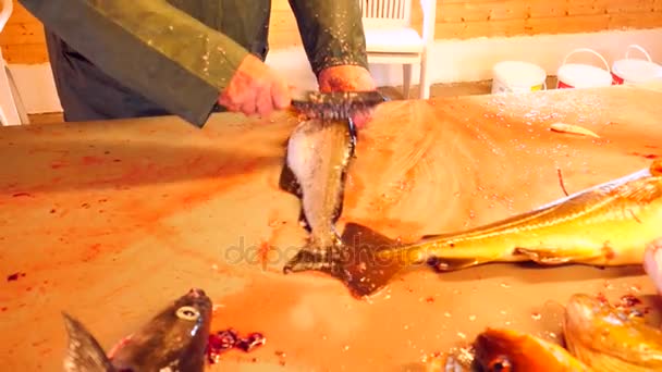 Bacalhau, o bacalhau. Remoção rápida de escalas com uma escova de arame em uma mesa de arquivamento. Vista de mãos masculinas fortes que trabalham com peixe-marinho. Escalas removidas e sangue na mesa . — Vídeo de Stock