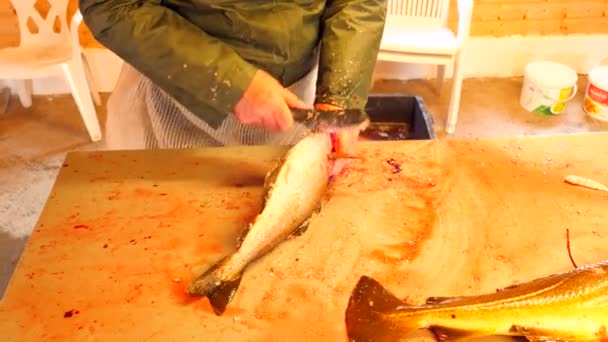 Merluzzo, il merluzzo. Rimozione rapida di scale con una spazzola metallica su un tavolo di deposito. Vista di forti mani maschili che lavorano con il pesce di mare. Scale rimosse e sangue sul tavolo . — Video Stock