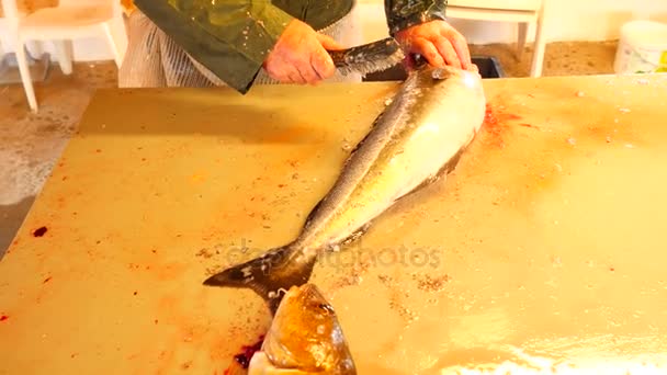 Kabeljau, Kabeljau. Schnelles Entfernen der Waage mit einer Drahtbürste auf einem Feiltisch. Blick auf starke männliche Hände, die mit Meeresfischen arbeiten. Schuppen und Blut auf dem Tisch entfernt. — Stockvideo