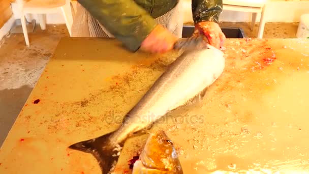 Γάδος, ο μπακαλιάρος. Γρήγορη απομάκρυνση των κλιμάκων με μια συρμάτινη βούρτσα σε έναν πίνακα της κατάθεσης. Άποψη του δυνατά χέρια αρσενικό που ασχολούνται με τα ψάρια στη θάλασσα. Αφαιρεθεί κλίμακες και αίμα στο τραπέζι. — Αρχείο Βίντεο