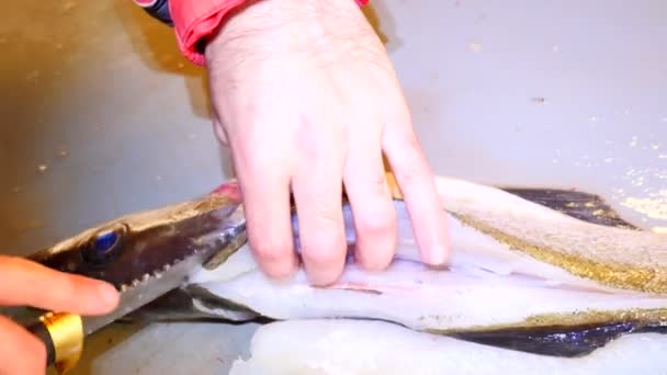 Limpeza de trabalhadores e filetagem de bacalhau marinho fresco em uma fábrica familiar. Filetes de corte e separação dorsais de ossos de peixe, que removem tripas . — Vídeo de Stock