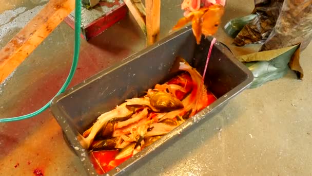 Trabalhadores mão lança esqueleto de peixe em caixa preta. Esqueleto de bacalhau após remoção do filete dos quadris. Sangrentos resíduos de peixe e outros resíduos. pernas masculinas em botas de borracha pesada passos em torno de caixa . — Vídeo de Stock