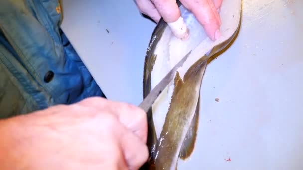 A marca comum apanhada na Noruega. Homem no avental de borracha trabalhando limpar a pele viscosa de peixe ling. As mãos profissionalmente trabalham com o peixe do mar, companhia de peixe de família. Maldição e sangue na mesa . — Vídeo de Stock